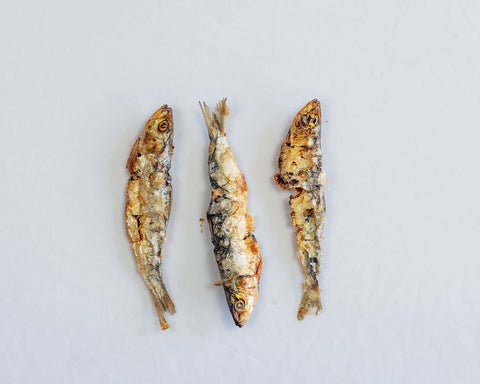 Dehydrated Sardines
