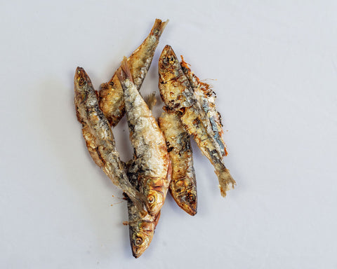 Dehydrated Sardines