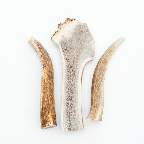 Elk Antler Chew